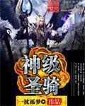 神圣骑士人物