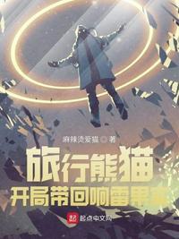 旅行熊猫破解版