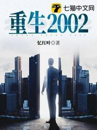 重生2002从派出所开始的