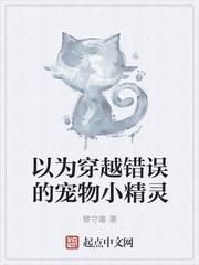 穿越方式错误的…宠物小精灵吧?