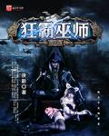 我在巫师世界当学霸31