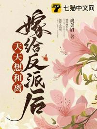 嫁给反派之后by