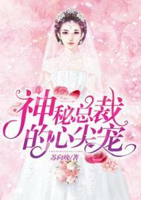 神秘总裁的心尖宠全文免费读