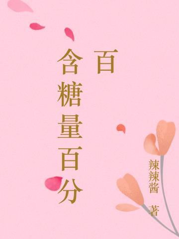 含糖量等于什么
