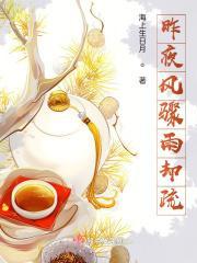 昨夜疏风骤雨李清照
