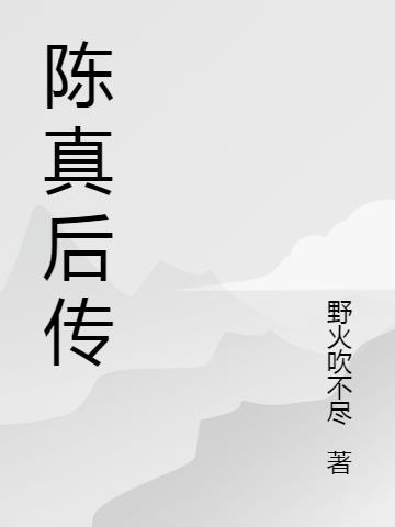 陈真后传20集
