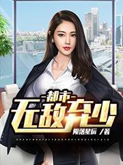 都市无敌弃少陨落星辰叶修