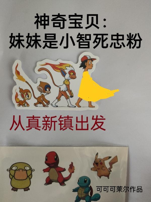 神奇宝贝最后一集小智死了