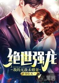 绝世强龙我的无敌未婚妻是一本什么