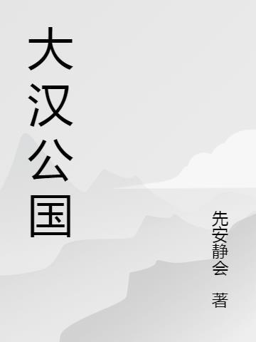 大汉公司
