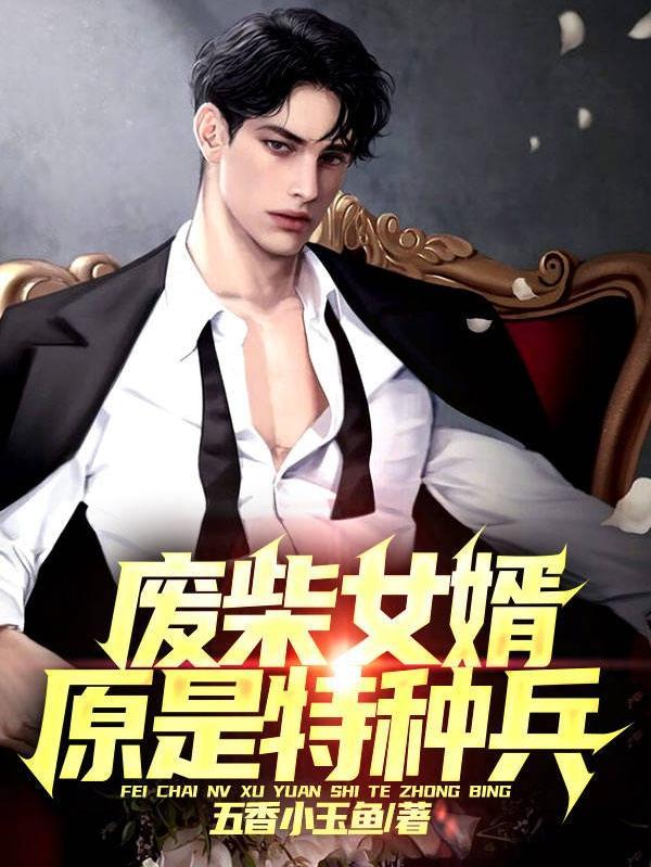 女总裁的特种兵女婿