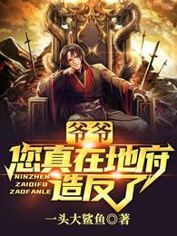 张帝简历