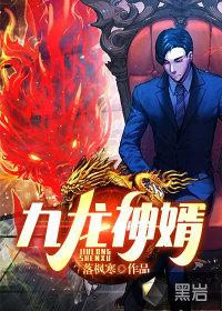 九龙神婿叶凡