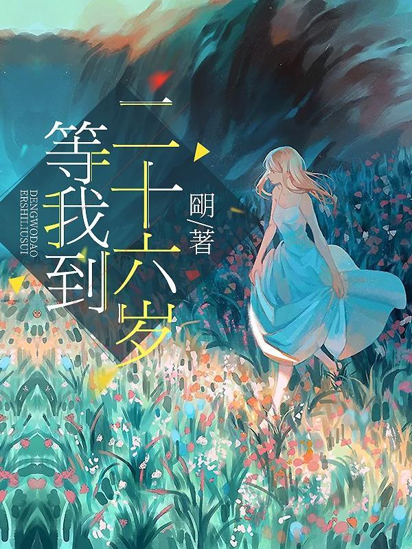 二十六岁是什么之年