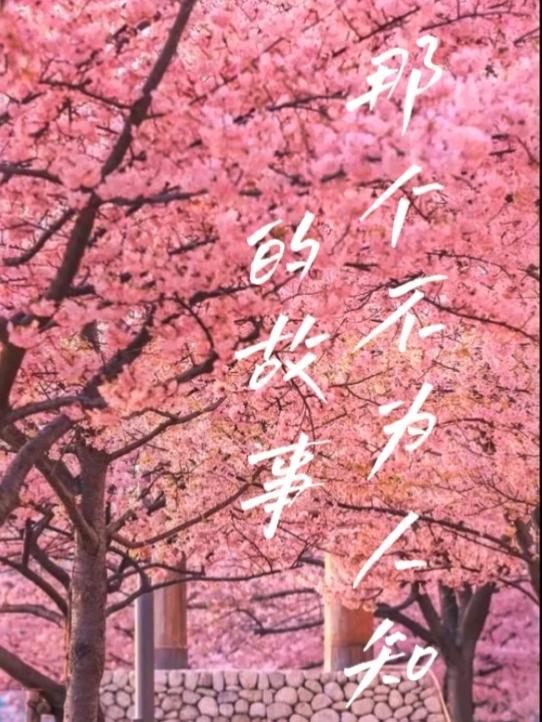 那个不为人知的故事电视剧演员