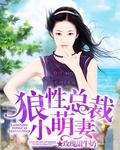 总裁的傲娇萌妻夏白