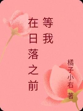 我在日落前等着你回来