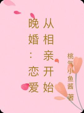 晚婚讲的什么