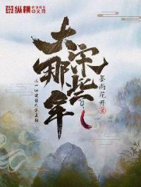 大宋是哪年
