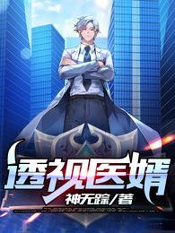 透视医圣叶寒免费阅读