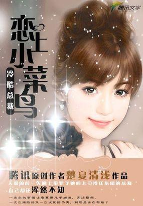 冷酷总裁恋上她的心