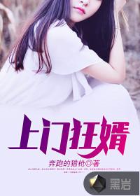上门狂婿叶锋全文阅读