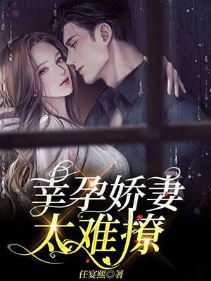 幸孕娇妻宠上瘾