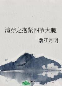 清穿文抱养四阿哥