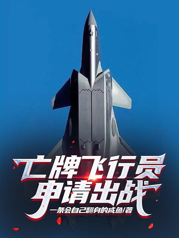 什么王牌飞行员申请出战