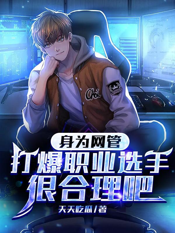 我是个网管
