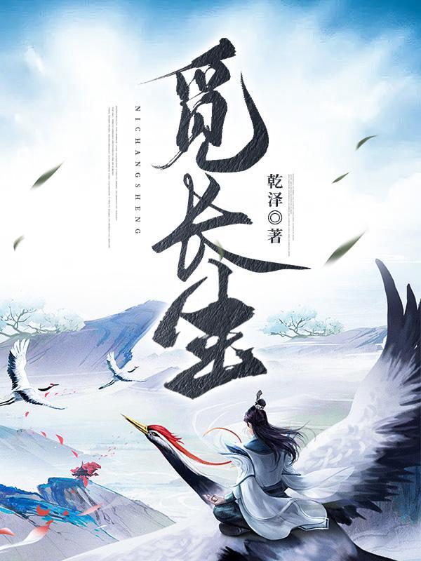 觅长生林沐心