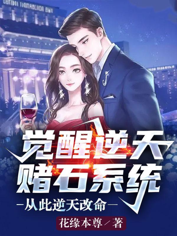 逆天赌石笔趣阁
