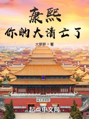 康熙你的大清亡了txt电子书