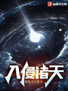入侵诸天从大明开始