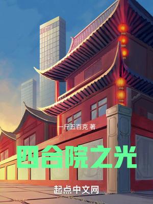 四合院之光无错