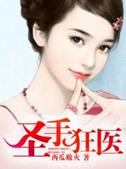 圣手狂医凌川