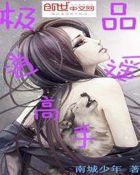 极品逍遥高手女主角有几个
