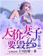 宠妻上天老婆