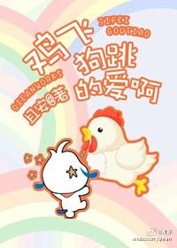 鸡飞狗跳的故事