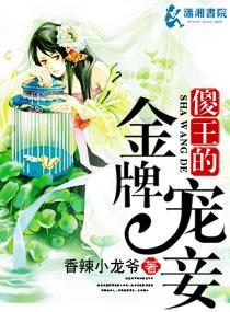 傻王的金牌宠妾男主是谁