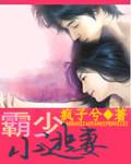 霸情恶少小逃妻别跑免费