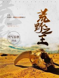 荒野之王苍云峰百度百科