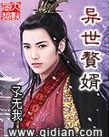 异世女婿