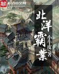北洋霸业123