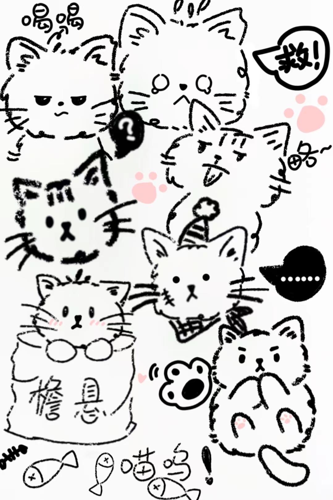 我能看到猫猫狗狗发的朋友圈全文免费阅读