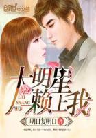 大明星爱上我改编