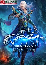 异世之武灵天下全文阅读