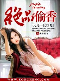 偷香高手全本免费阅读