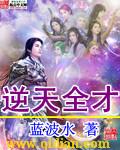 逆天全才全集txt