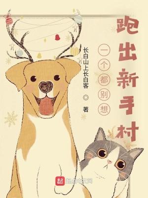 我在新手村称霸兔子视频
